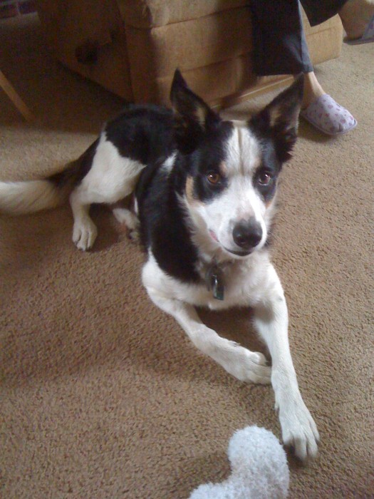iPhone Pics 012.jpg (863 KB)